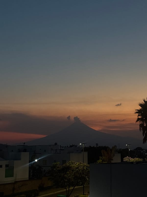 Evening Documentation: Twilight Skies and Resting Dog in Mexico