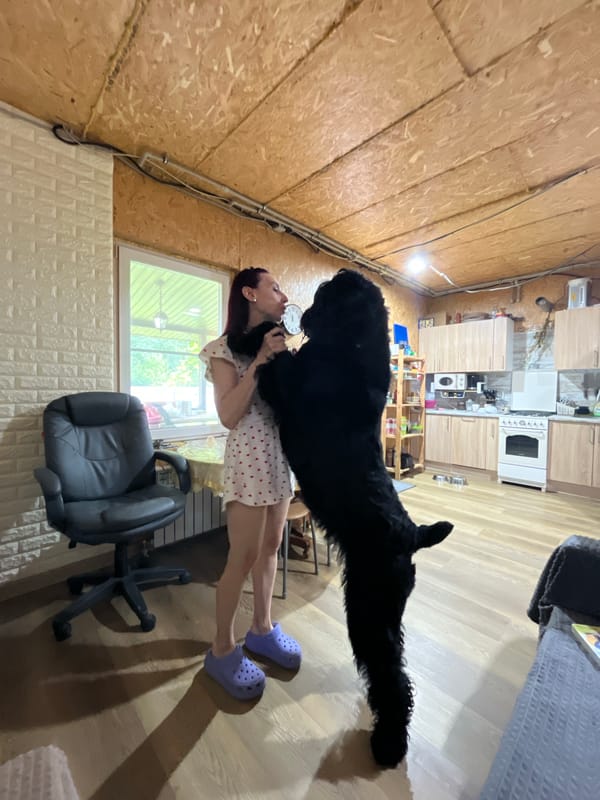 Big shaggy dog owns the room in a Nagorny home