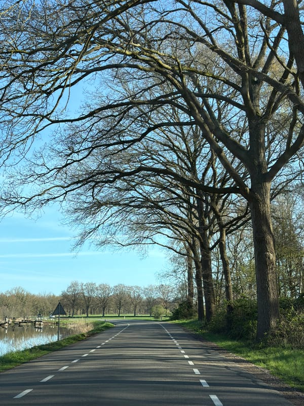 Morning road scene documented in Vaassen, Netherlands