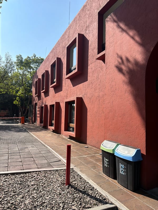 Witness documents Puebla architecture and cobblestone streetscape views