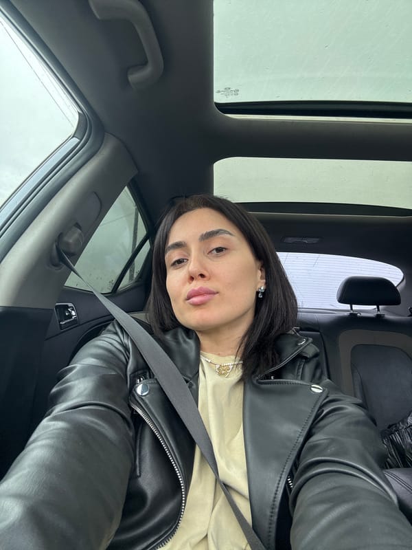 Woman photographed in passenger seat of vehicle in Tbilisi