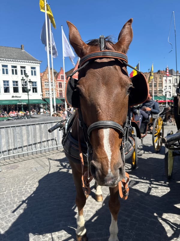 Tourist activity documented in historic Bruges city center
