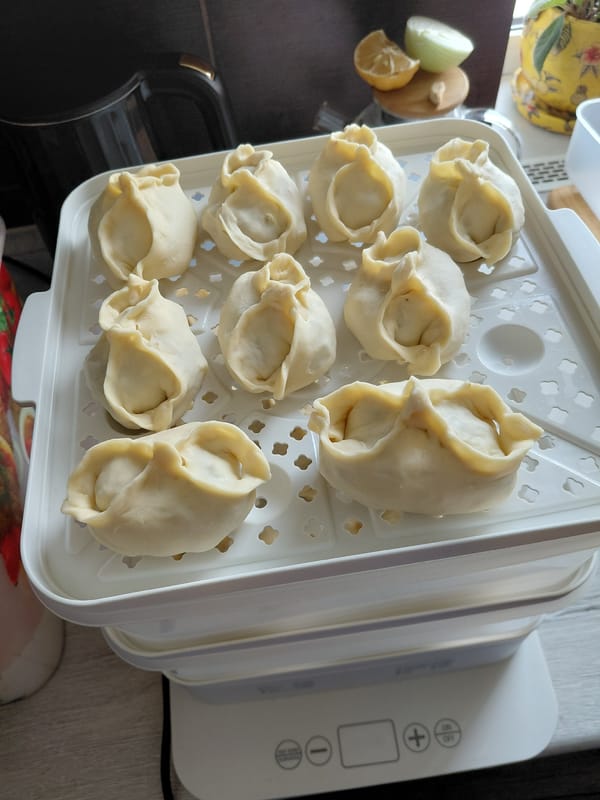 Homemade dumplings, garden roses, and a slow Novosibirsk morning