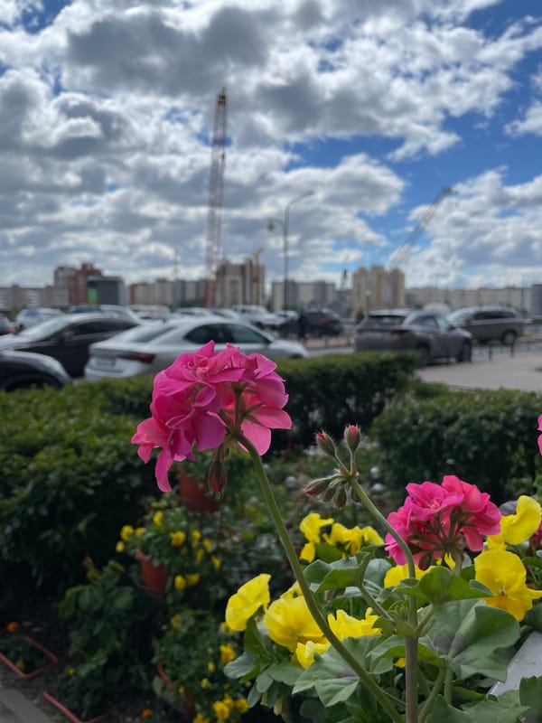 Morning residential scenes documented in Saint Petersburg neighborhood