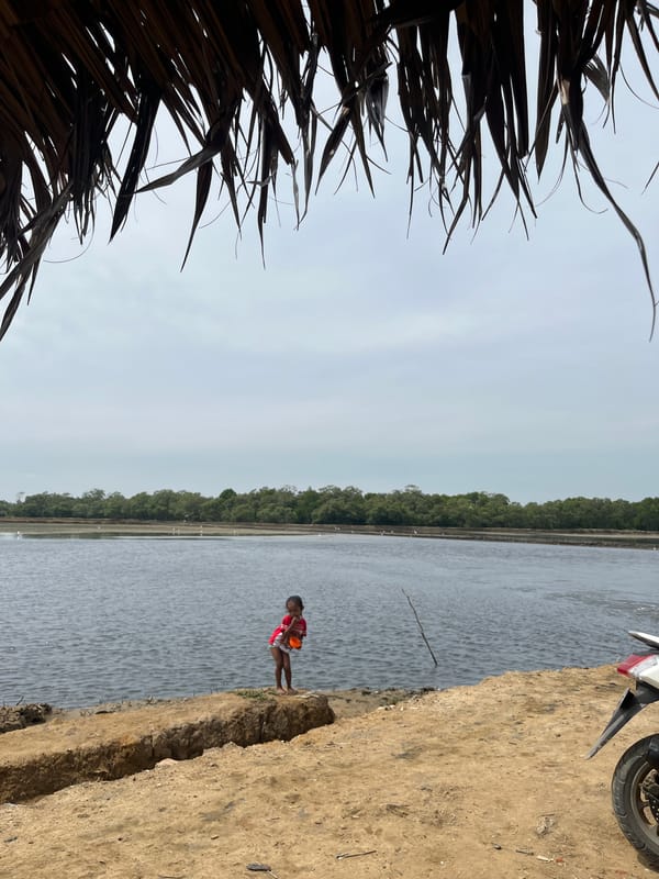 Under a thatched roof, looking out at the Dayahtuha coast.