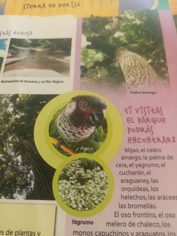 Spanish-language Disney children's books and materials in Venezuela