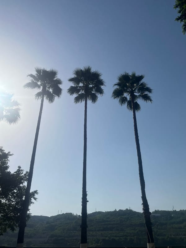 Morning leisure activities unfold across Jiangjin parks and riverside