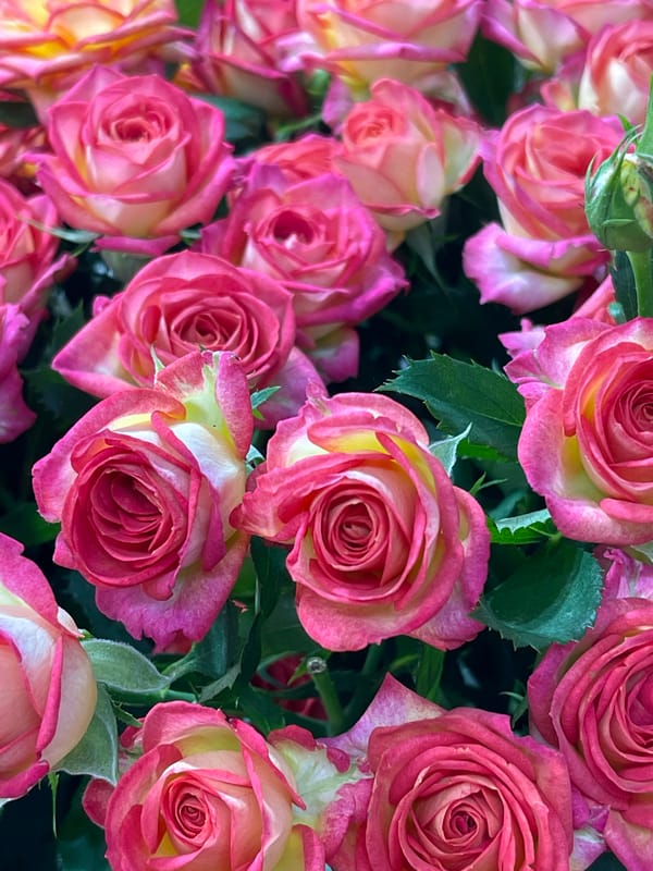 Fresh flower arrangements documented at Kamianske market Monday morning