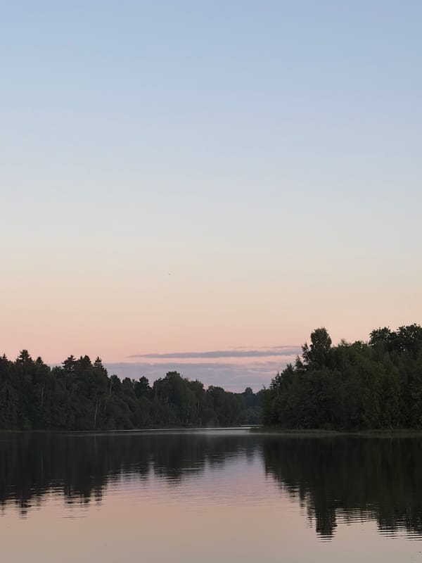Golden hour at a rural lake spot with dogs, bikes, and trails