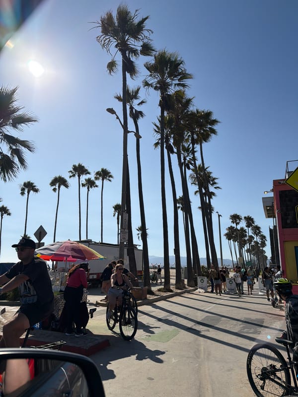 Venice Beach on a bright, busy summer day