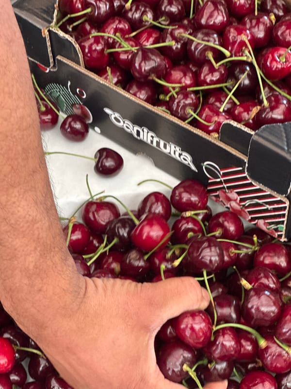 Milan outdoor market buzzing with summer produce and street life