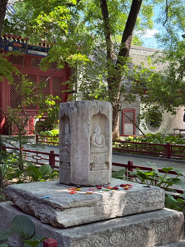 Stone monument with carvings documented at outdoor historical site