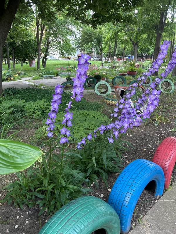 Early morning moments captured in Ruse garden and cafe