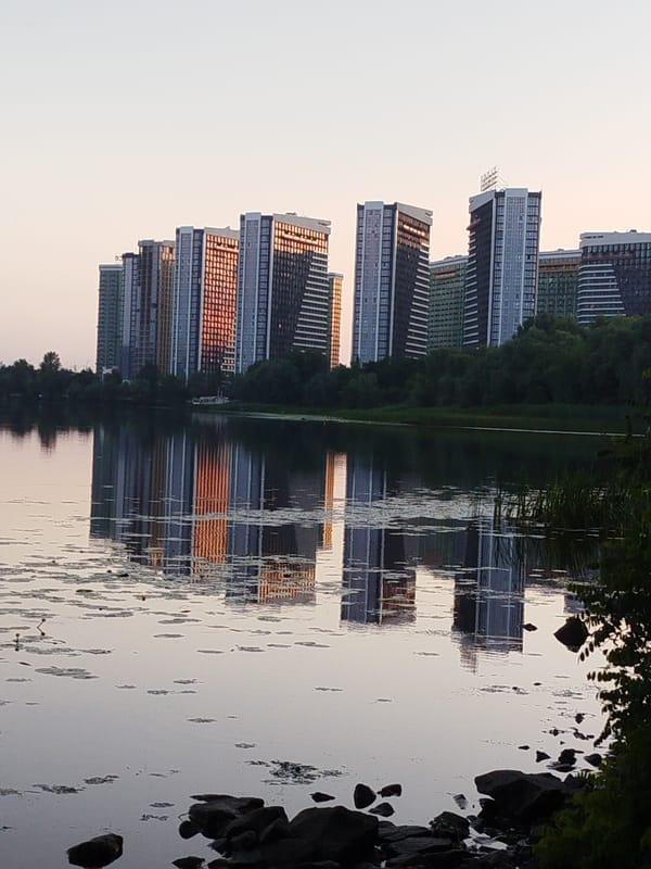 City waterfront at dusk, bridges and ducks and still reflections