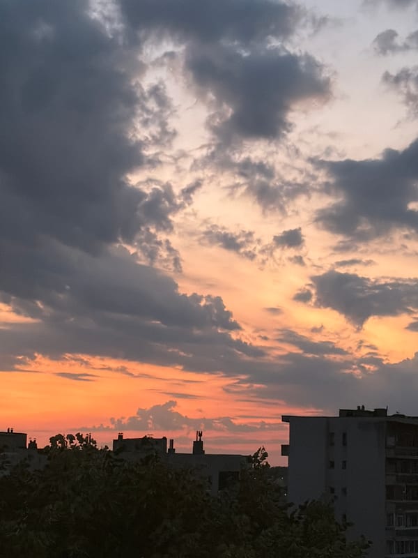 Dobrich sunset evening with pets at home