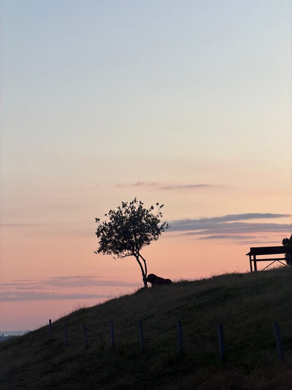 Sunset memories captured across Sokhumi hillsides and overlooks