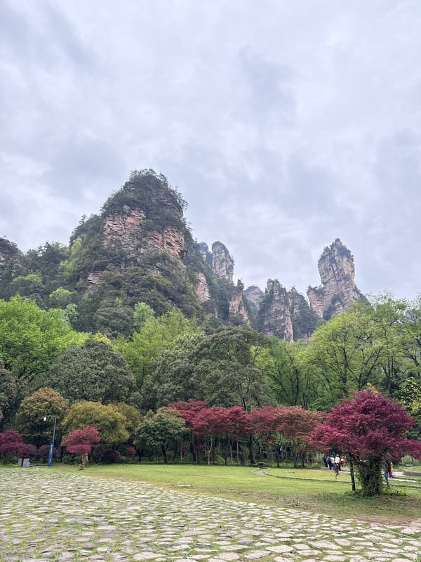 Monkeys and tourists observed at Zhangjiajie National Forest Park