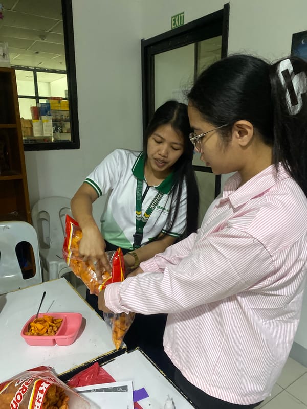 Davao students build miniature dioramas in a library setting