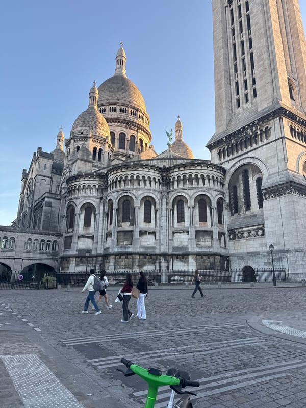 Spring wisteria blooms observed on Paris stone wall