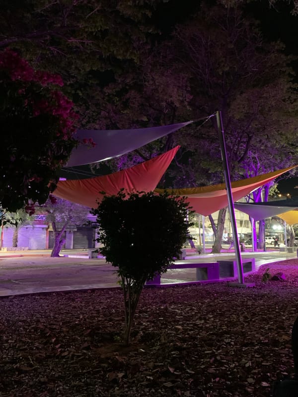 Woman takes selfies at Juan Griego plaza waterfront
