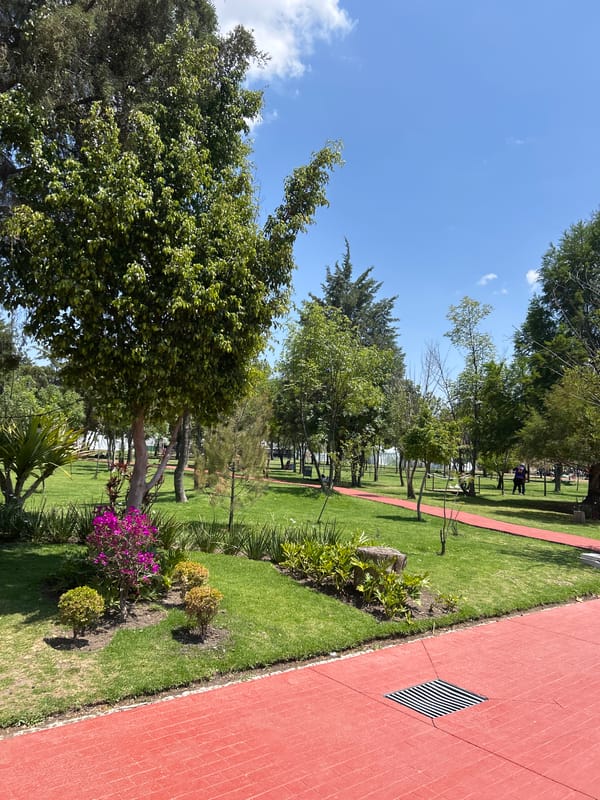 Woman takes selfies in car in Puebla, Mexico