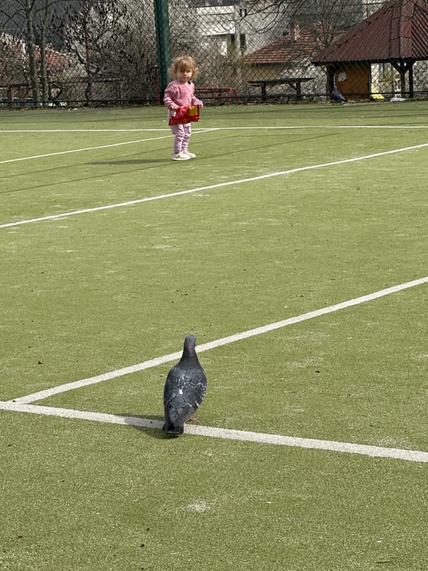 Child plays with pigeons on sports court in Tryavna