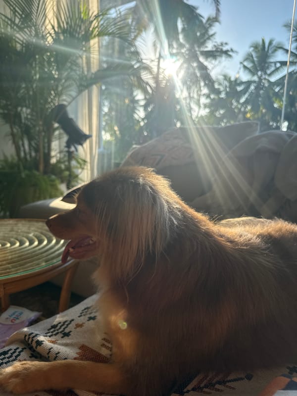 Evening domestic activities captured across Indonesian locations