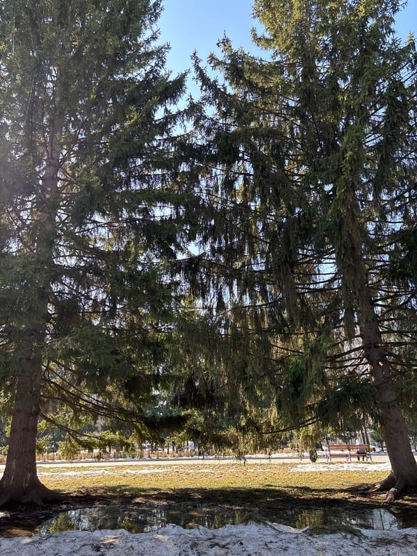 Woman documents spring morning park visit in Yekaterinburg