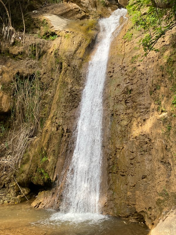 Tourist captures waterfall, wildflowers in Alanya nature area