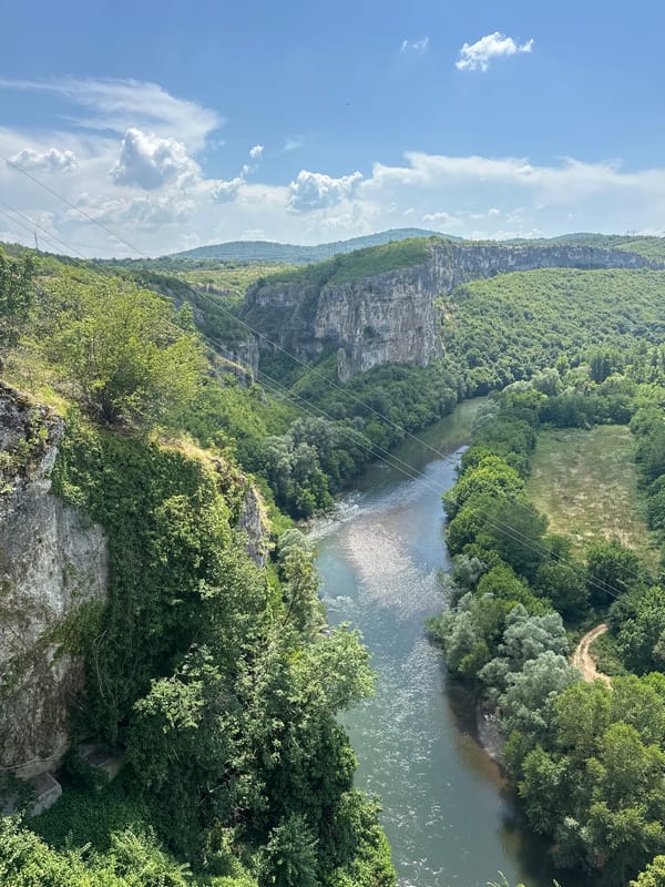 River gorge and damselfly detail, Karlukovo, Bulgaria