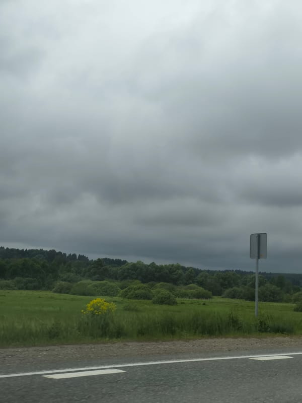 Rural landscape observed under overcast skies near Niva, Russia