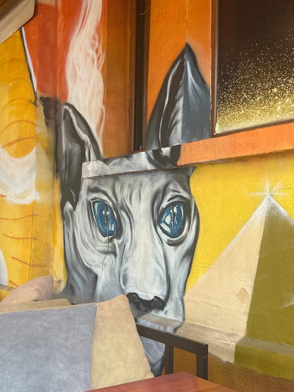 Cafe with upside-down animal mural and hookah documented