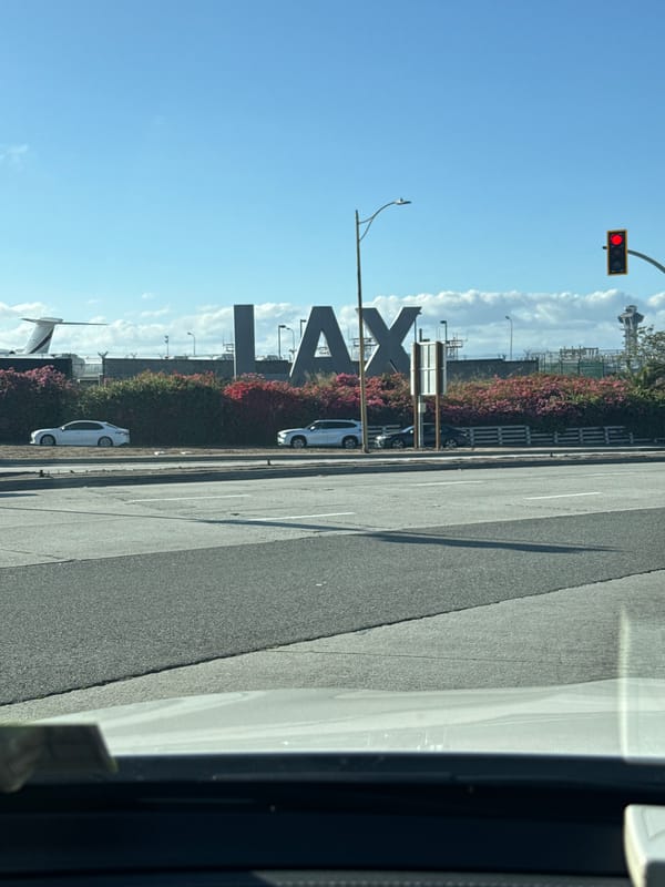 LAX airport sign photographed with roadside flowers, parked cars