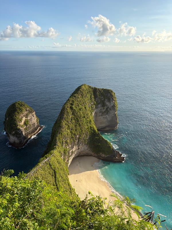Tourists capture Nusa Penida coastal scenery and monkey feeding