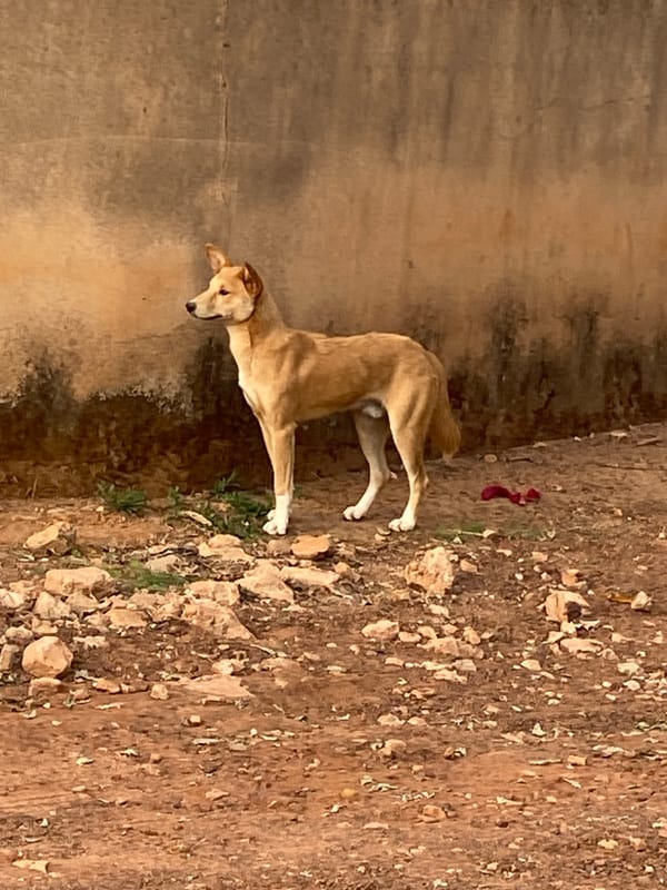 Children play in dirt lot in Bukuru, Nigeria