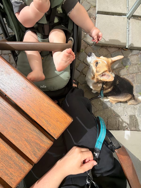 Peaceful family stroll with Corgi through historic Meisenheim streets