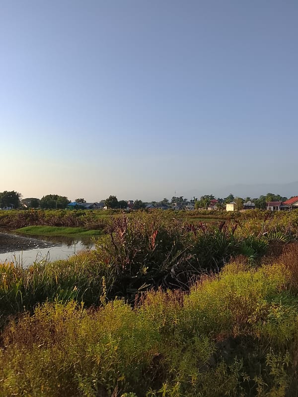 Rural roads and waterways in coastal Aceh at golden hour