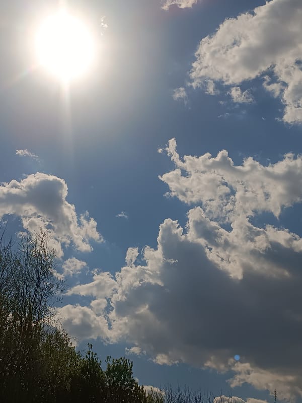 Outdoor barbecue gathering documented in Motyakovo, Russia on sunny afternoon