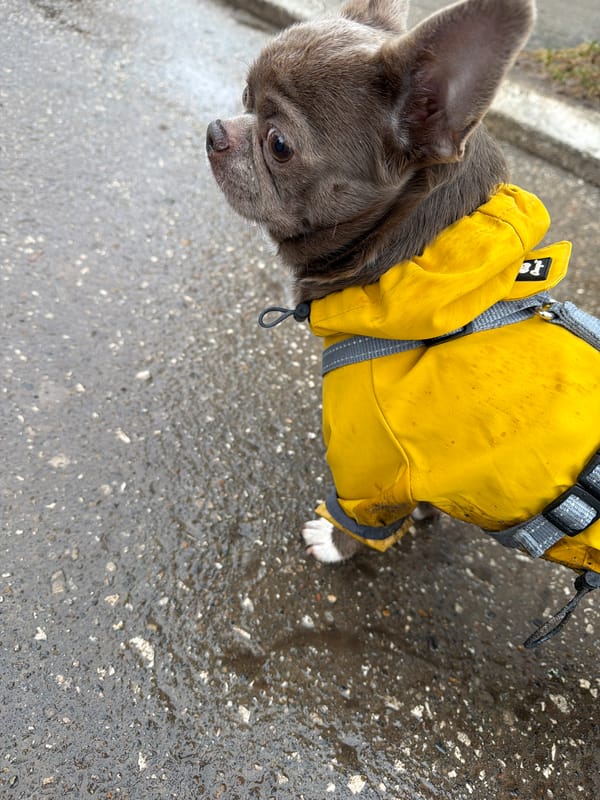 Baby in whale pajamas photographed in crib in Votkinsk