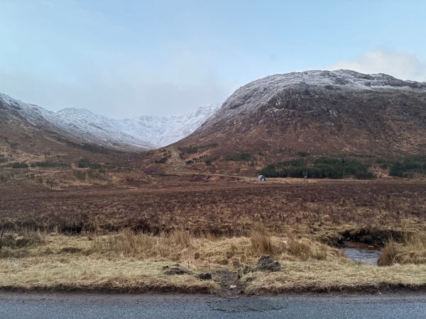 Morning landscape documented along Fort William roadway