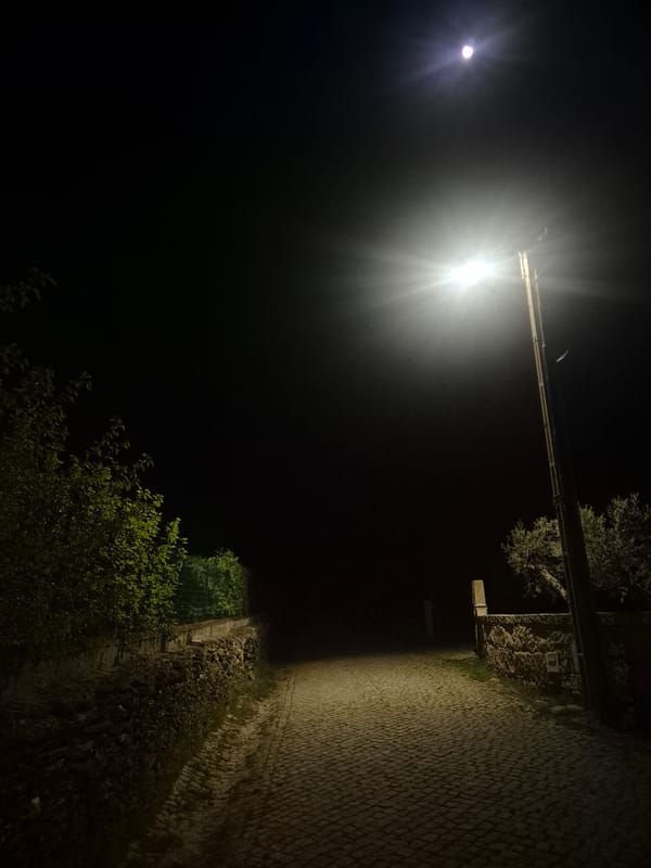 Nighttime street scenes and dog captured in Mirandela, Portugal