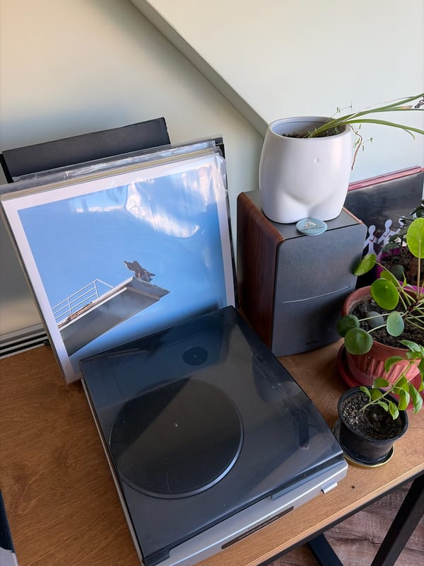 Cats, records, and houseplants in a quiet domestic setting