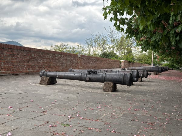 Tourist captures historic cannons and spring blooms in Budapest