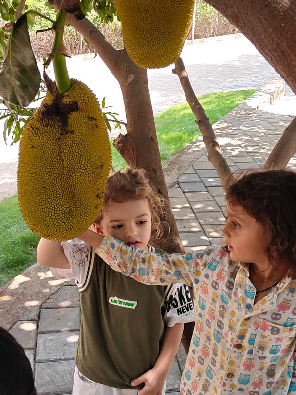 Children observe jackfruit tree in rural India