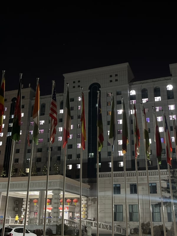 International flags displayed outside illuminated building in Changchun