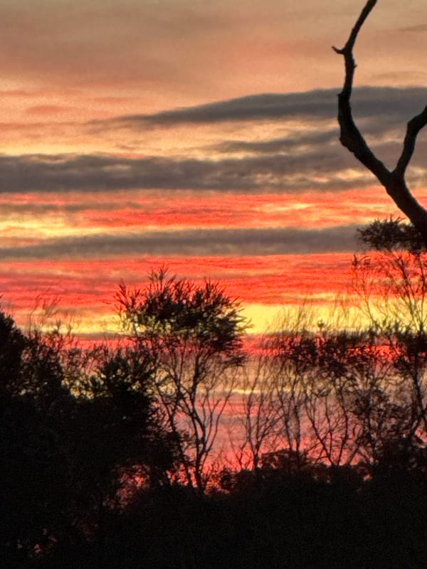 Vivid rural sunset photographed across multiple angles at dusk