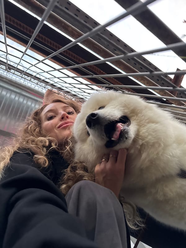 Samoyed cuddles and industrial waterway scenes in Chaikovsky