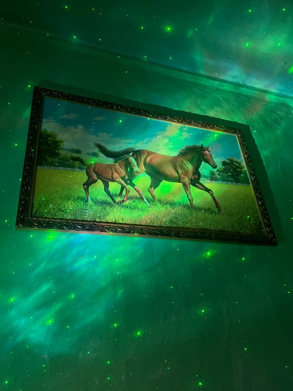 Pets rest in colorfully lit home in Nizhny Tagil