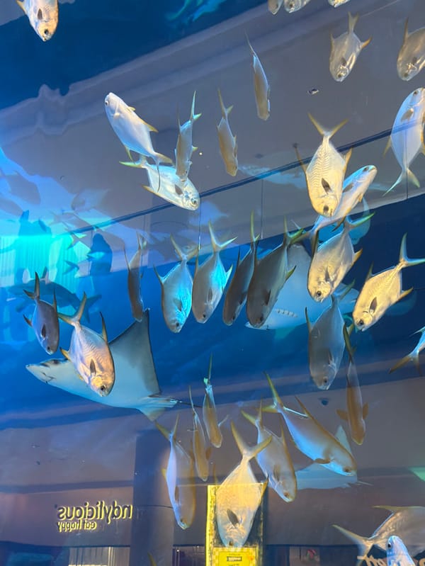 Large aquarium display attracts visitors at Dubai shopping center