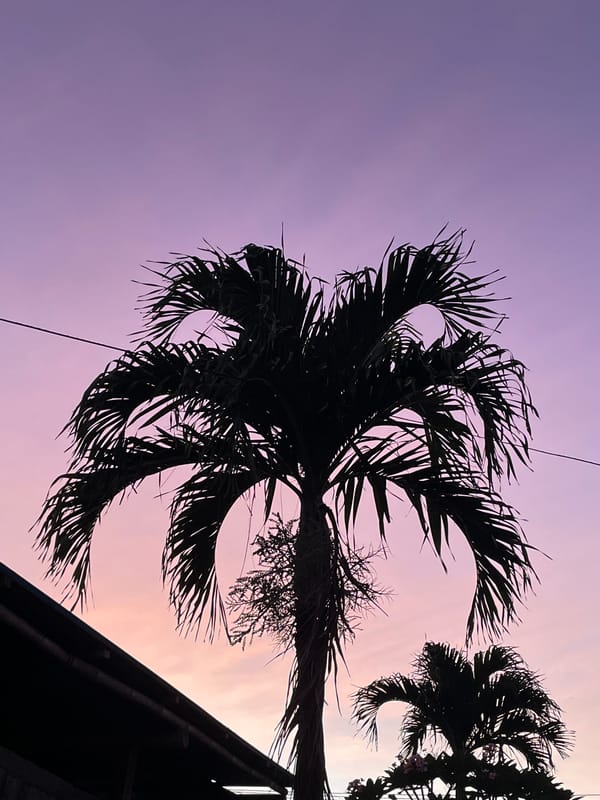 Palm silhouettes against a purple twilight sky in North Kuta